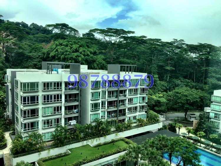 The Raintree (D21), Condominium #85120352